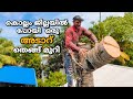 ഒന്ന് ഇടത്തോട്ടോ വലത്തോട്ടോ 😳🌴 ഇജ്ജാതി Risk😨 | RISKIEST Coconut Tree Cutting | Village woodpecker