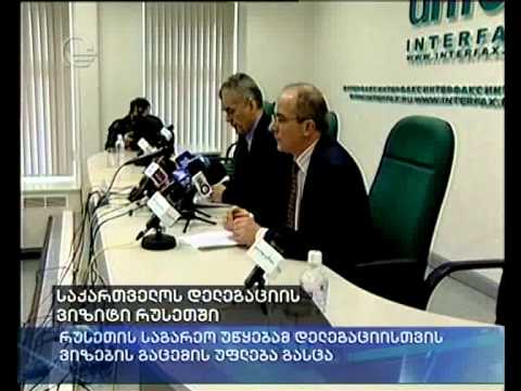 საქართველოს დელეგაციის ვიზიტი