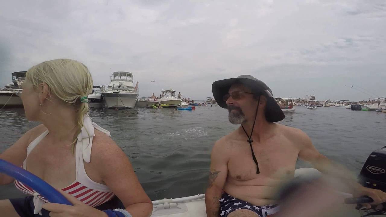 Aquapalooza Potter cove 3 2016 YouTube