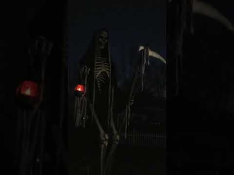 12ft. Skeleton Custom