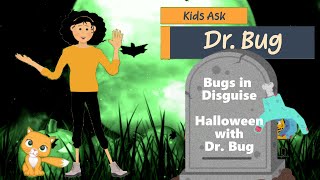 Bugs in Disguise / with Dr. Bug and Kids Ask Dr. Bug!