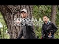 Seppo Paju Disc Golf highlights 2019 | King of the forest
