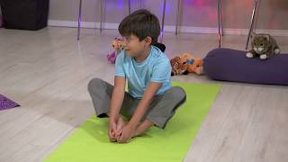 Butterflies | Animal Yoga | The Friday Zone | WTIU | PBS