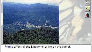 Biology: The Five Kingdoms of Life: The Plants