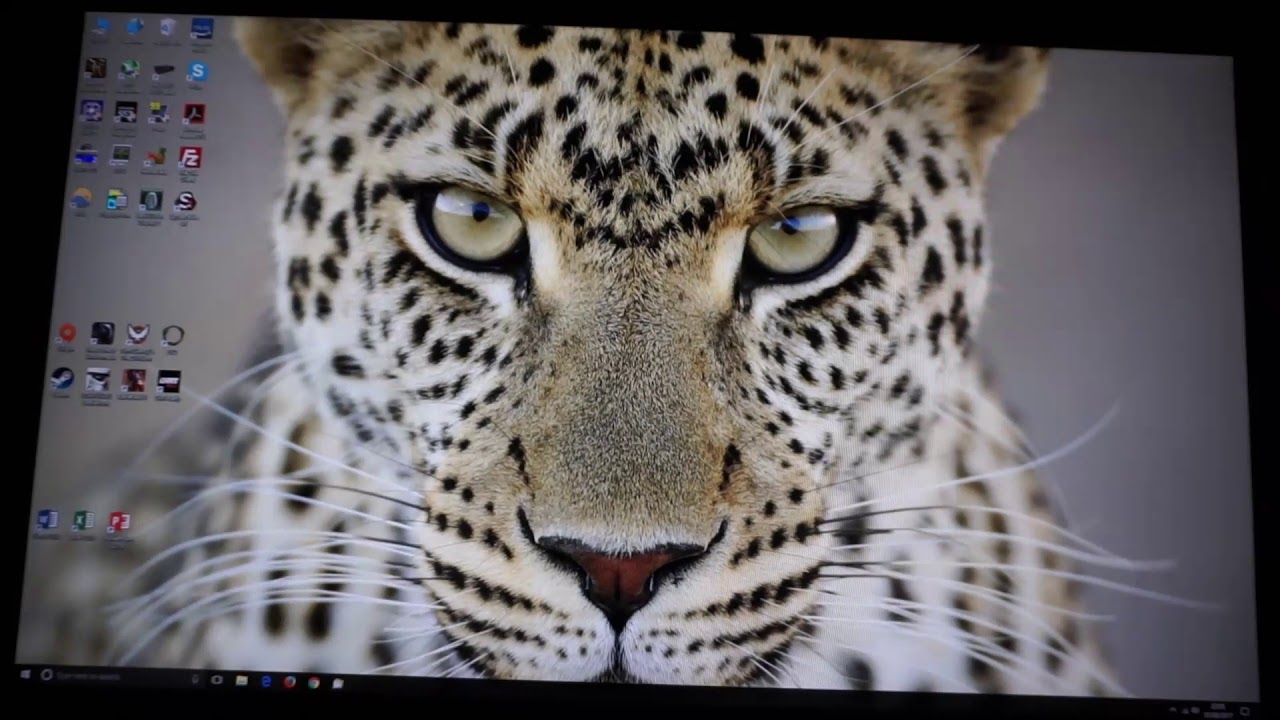 Dell U2518D Viewing Angles