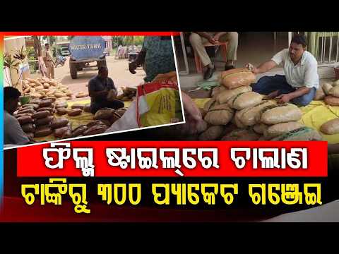 ଫିଲ୍ମ ଷ୍ଟାଇଲ୍‌ରେ ଚାଲାଣ... | Filmy Style Ganja Smuggling Busted | Boudh | Odisha News | Argus News