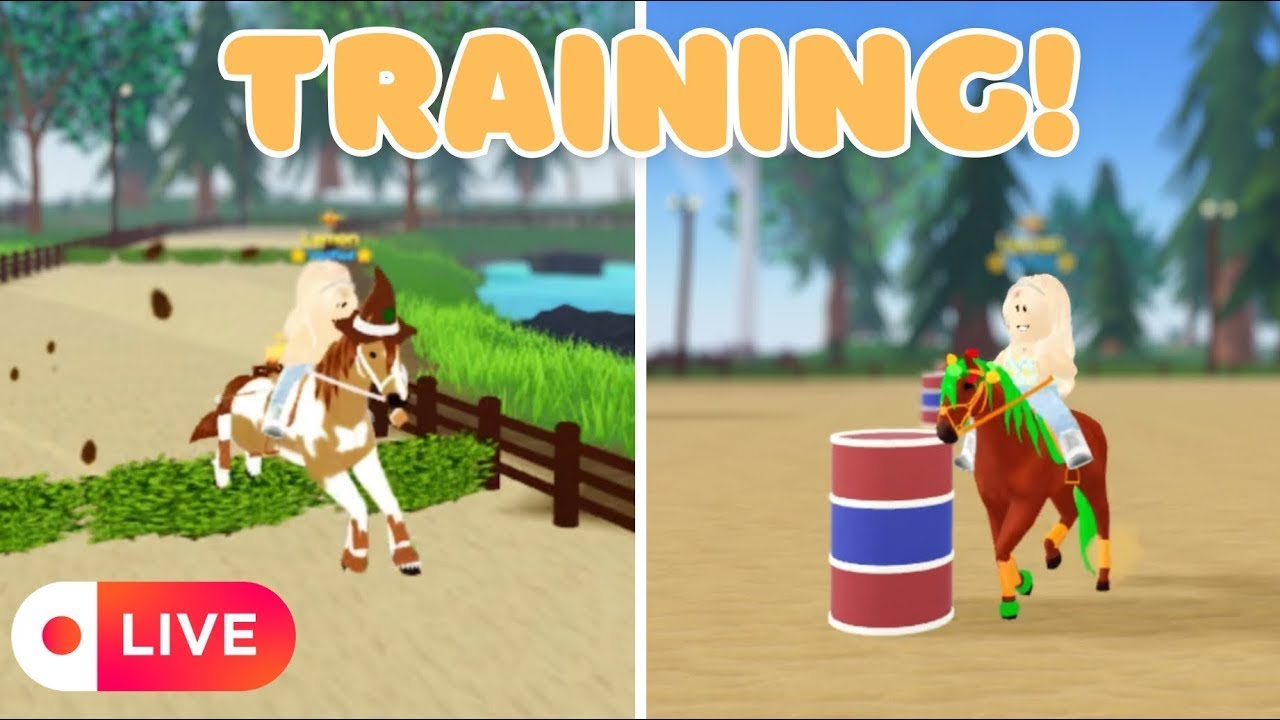 Training Up My Horses! Come Train With Me! | Wild Horse Islands