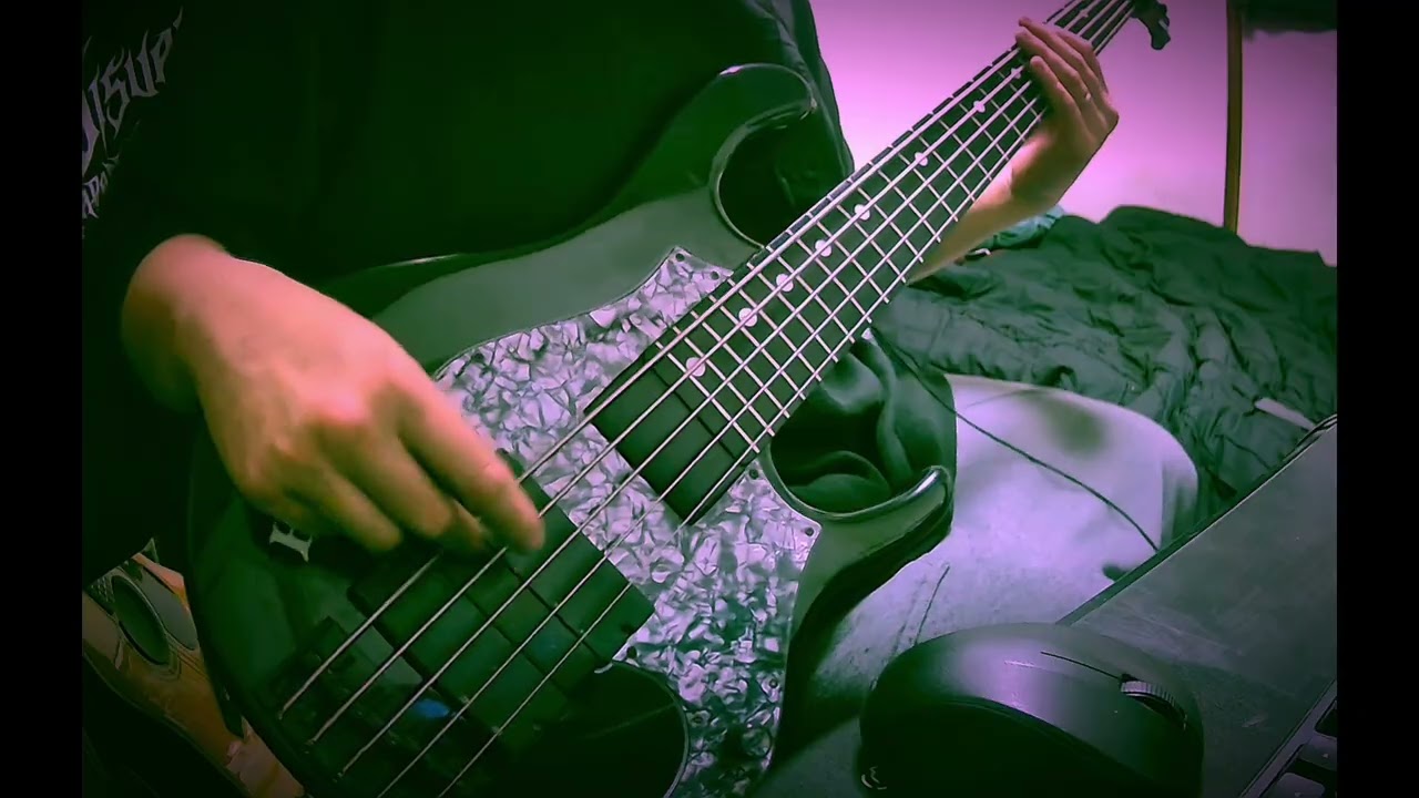 'S/' The Way-Ave mujica (Bass cover)