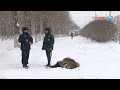 Шла по тротуару и упала  На проспекте Космонавтов умерла женщина