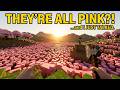 I Started a Minecraft Hardcore World… and Just Talked