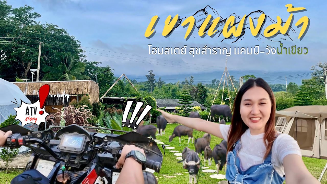 วังน้ำเขียว ขึ้นเขาแผงม้า ชม กระทิงป่า แบบใกล้ๆ ที่พักสวยๆโฮมสเตย์ สุขสำราญ แคมป์-วังน้ำเขียว