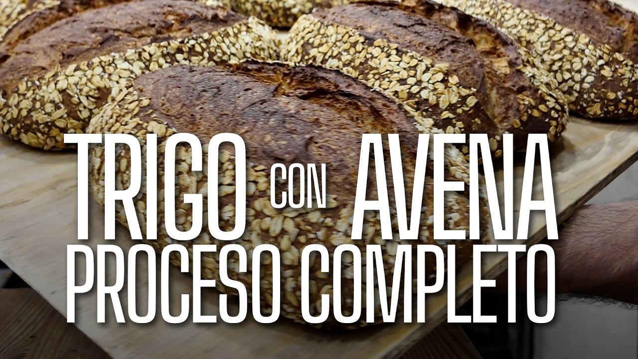 Proceso completo del trigo con avena | PANHABLA LAB |