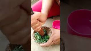 Sudah Terbukti Daun Inggu Bisa Untuk Obat Sakit Kepala Dan Panas Badan Anak,,,