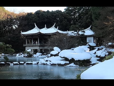 Shinjuku Gyoen in Winter 新宿御苑 (言の葉の庭/The Garden of Words) 25.01.2018