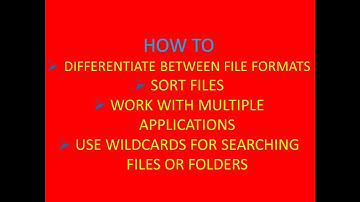 File Formats-Sort Files-Working With Multiple Applications-Searching Files/  Folders using Wildcards