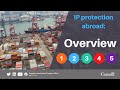 Overview of intellectual property protection abroad