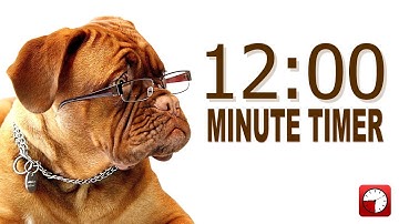 12 Minute Timer for PowerPoint and School - Alarm Sounds with Dog Bark