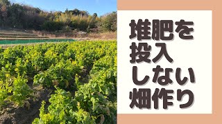 【堆肥を投入しない】土作り【家庭菜園】残渣、刈草処理