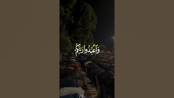 القارئ عبد الرحمن مسعد {يَا أَيُّهَا الَّذِينَ آمَنُوا ارْكَعُوا وَاسْجُدُوا }#قرآن #عبدالرحمن_مسعد