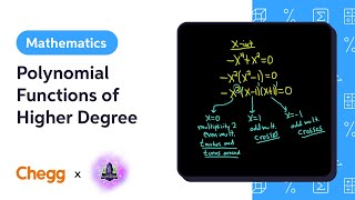 Polynomial Functions of Higher Degree Ft. The Math Sorcerer
