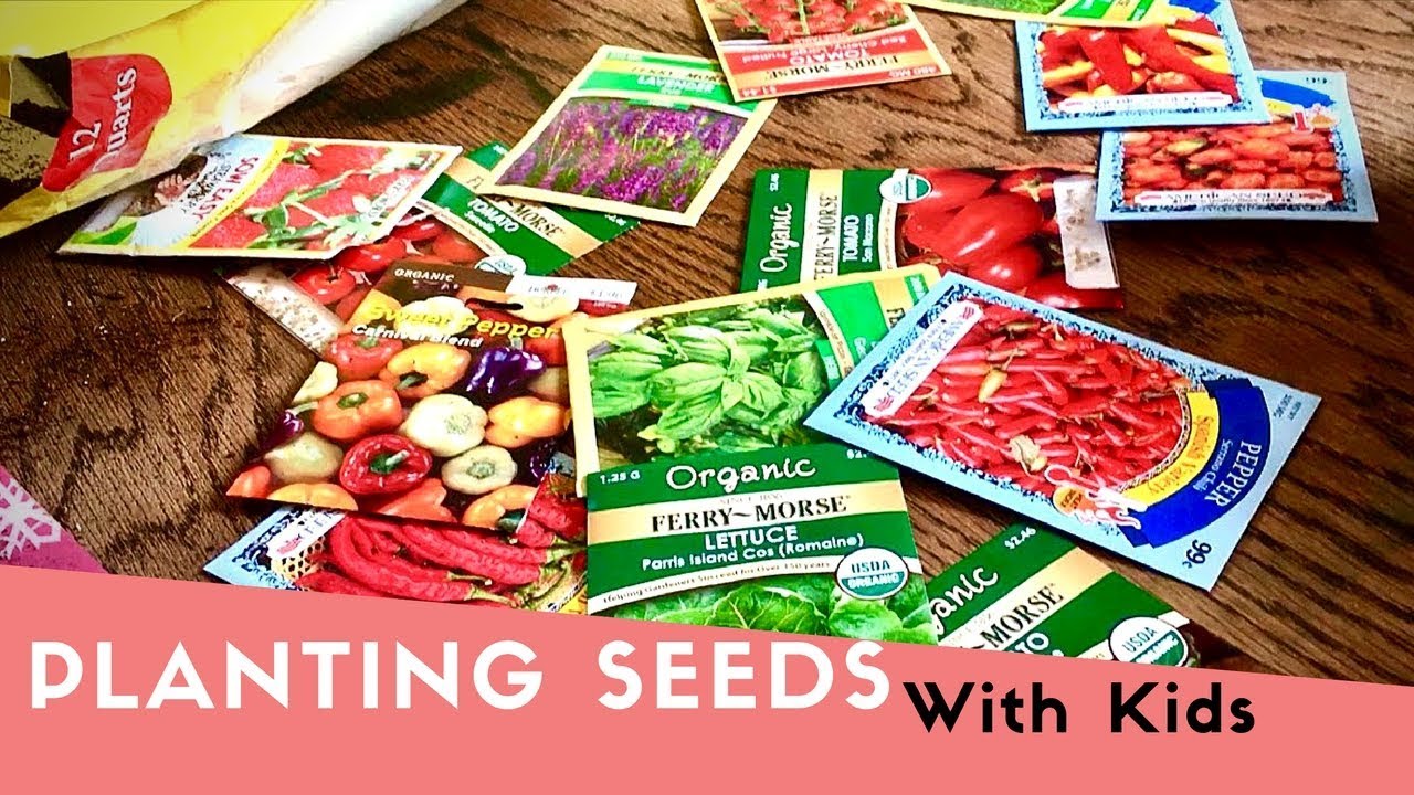 Planting Seeds With Kids 5/1/18 YouTube