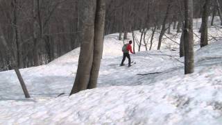 150424 鶴間池周辺/BCクロカン/3ピンテレマーク(ステップソール)/AT(春の鳥海山)