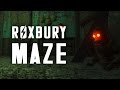 The full story of the roxbury maze at the milton parking garage  fallout 4 lore
