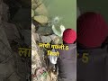 लांची मछली 🐟 5 किलो #facts #ganga #sorts #viral #viralvideo