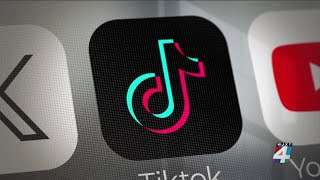 Jacksonville small business owners say they could be financially impacted if TikTok is banned