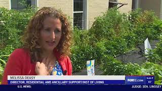 Farm Stand at the Institute of Living - Melissa Deasy