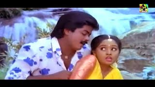 Maadhulam Kaniye Digital Audio Songs | மாதுளம் கனியே - Ilaiyaraja, S Janaki | Ilayaraja Melody Songs