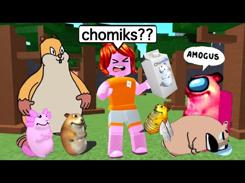 Roblox find the chomiks...