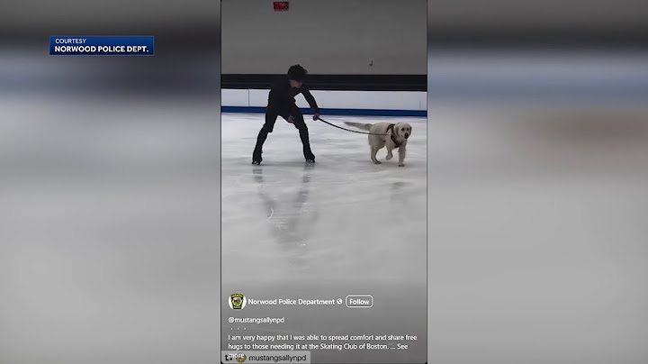 Police dog visits athletes at Skating Club of Boston