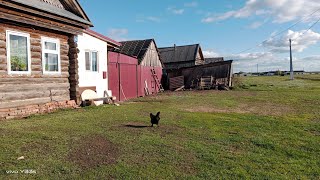 Жизнь в деревне.Убрались на кладбище .Сало соленое.Съездила в райцентр.Цветы на Радоницу.