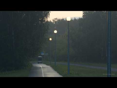 Тюмень. Вечер, туман. Гилевская Роща | Cinematic Video | Forest | Night Video