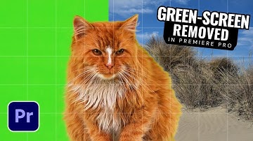 How to Remove a Green Screen in Premiere Pro (Perfect Keying in 2025!)
