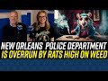 New Orleans Police Department is Overwhelmed by Weed-Loving Rats!