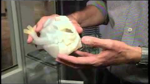 Halton Tech Today 2013-Javelin Tech 3D Printing