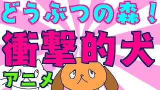 【アニメ】衝撃的犬の悩み【どうぶつの森】