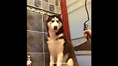 Philip's Visual Tutorials