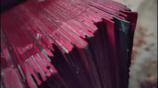 proses popor AR Sport