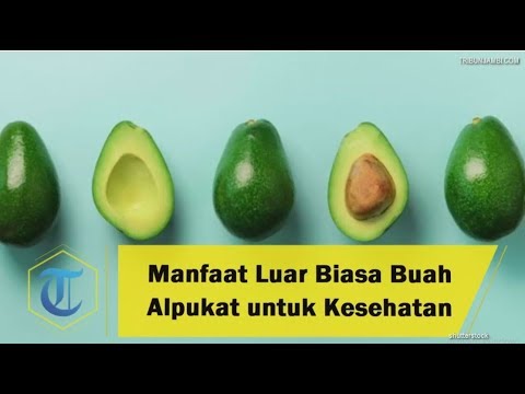 Manfaat Luar Biasa Buah Alpukat Untuk Kesehatan Kandungan Vitamin Dan Mineral Untuk Jantung