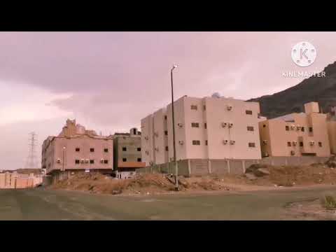 خبيت جدتي عندي ولا توقعت اللي صار من أعمامي وابوي