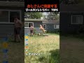 世界でバズったゴールデンレトリバー　TOP5