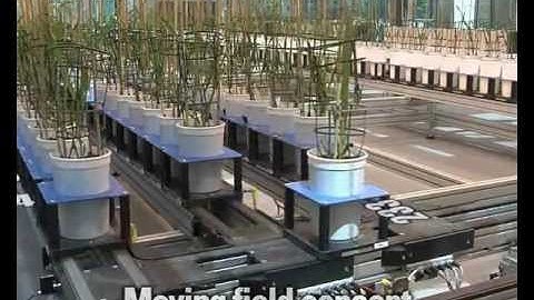 LemnaTec Greenhouse Scanalyzer Plant-to-Sensor Phenotyping System