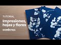TUTORIAL Cianotipia | Impresiones con Hojas y Flores | Fábrica de Texturas | Domestika