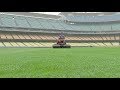 Dodgers Groundskeepers