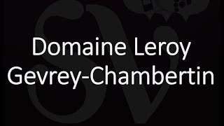 Best Gevrey-Chambertin Wines? Famous Wineries Producers