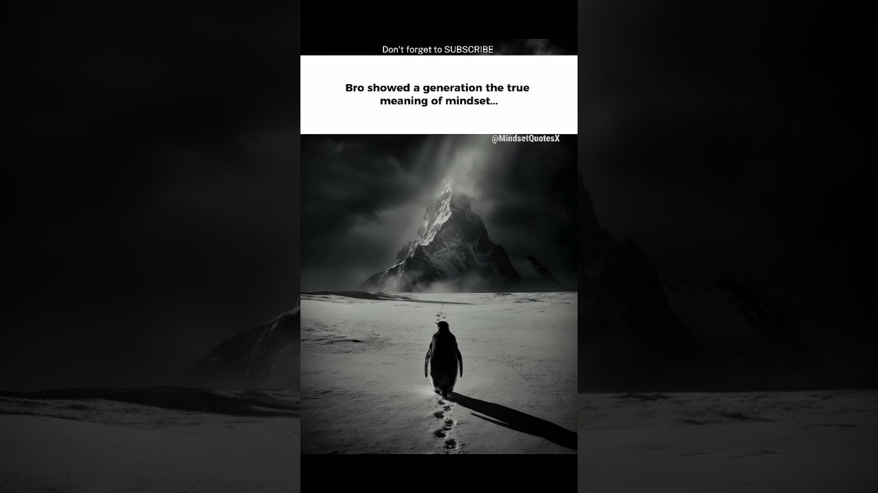 The Penguin Mindset.🐧🥀 