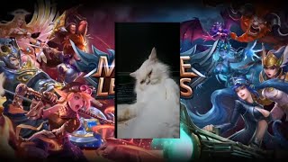 Cat Playing Mobile Legend Hayop Gaming
